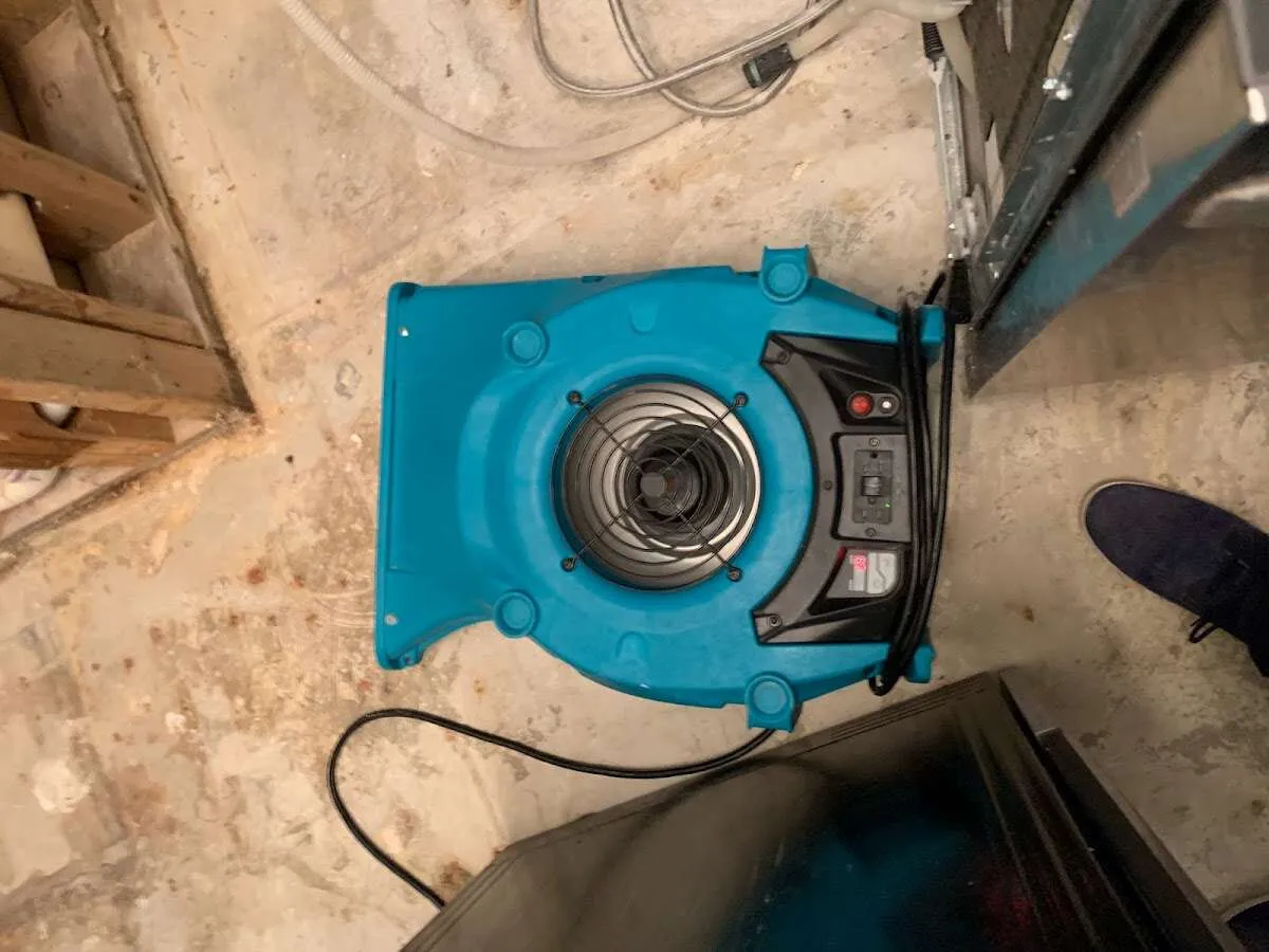 Air mover drying equipment for Mold Remediation & Removal in Cromwell