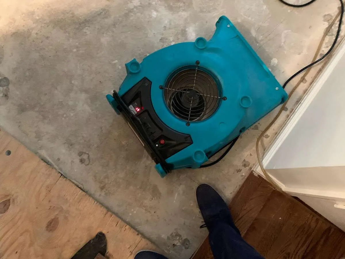 Air mover drying subfloor during Leak Detection & Repair in Cromwell